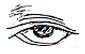 eyes1-2.gif (2530 bytes)